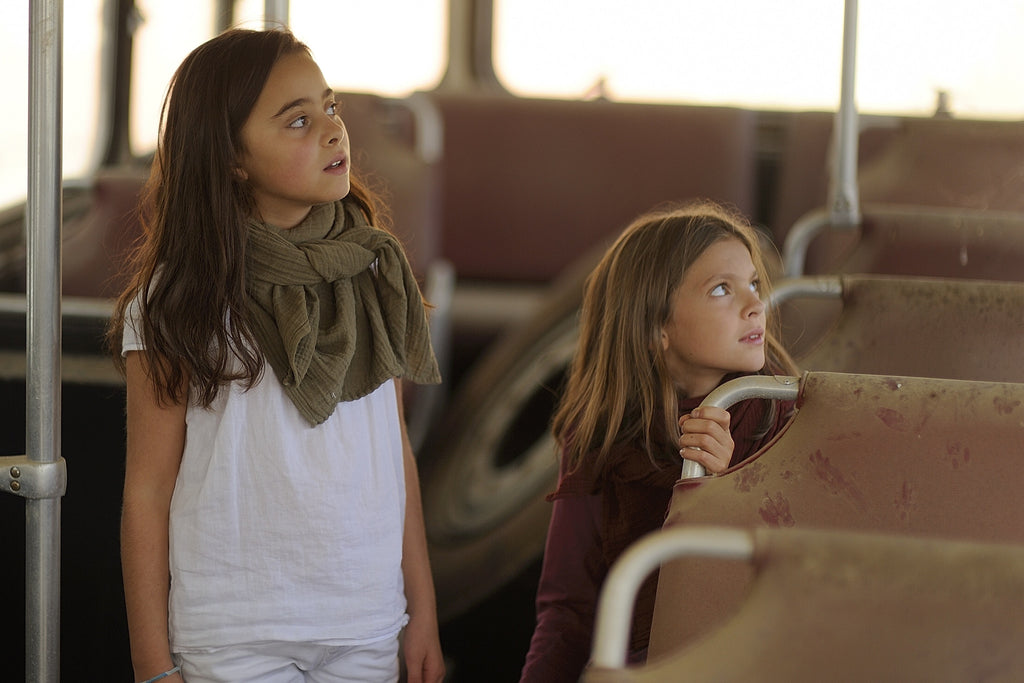 WAYDA Medium olive grove