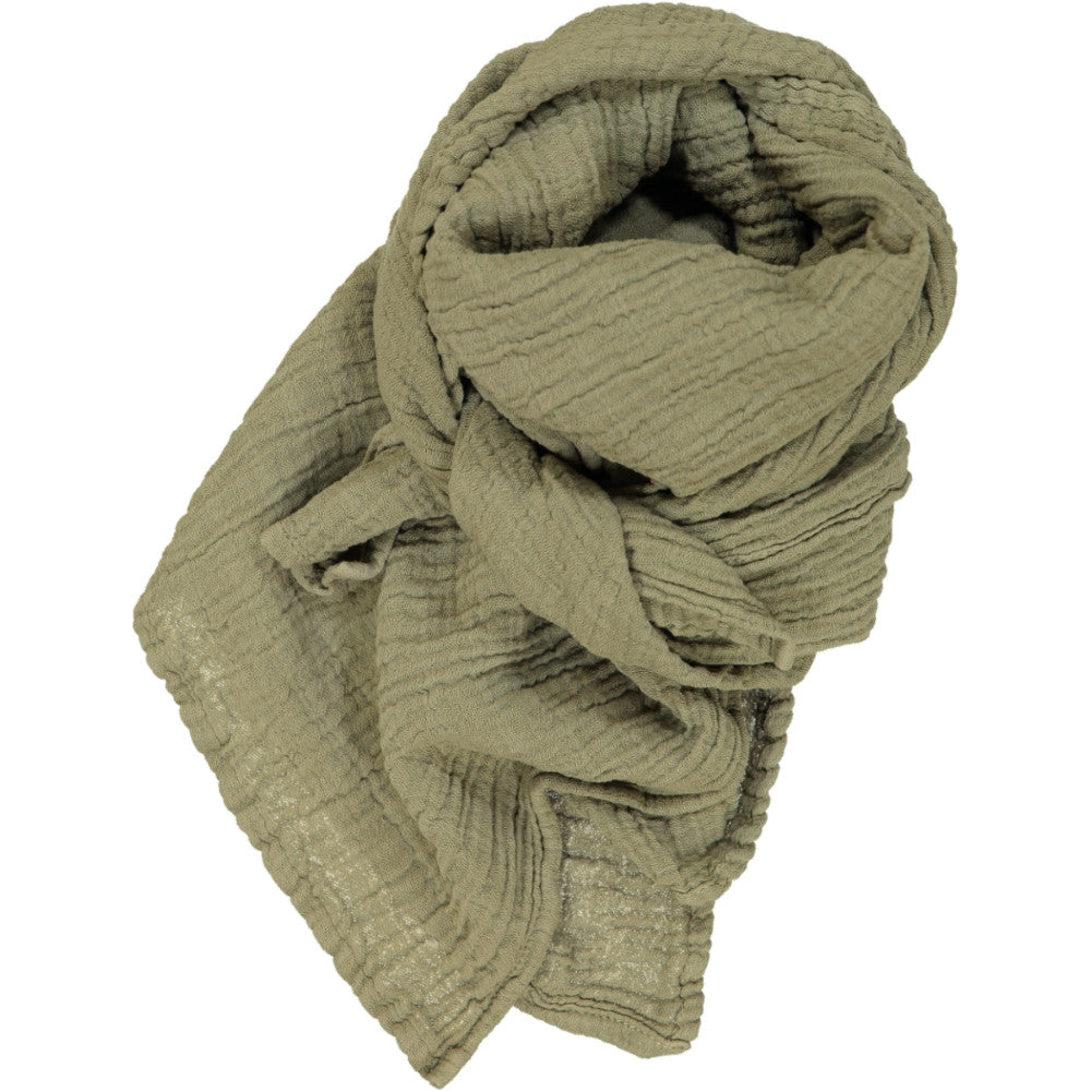 WAYDA Big olive drakensberg