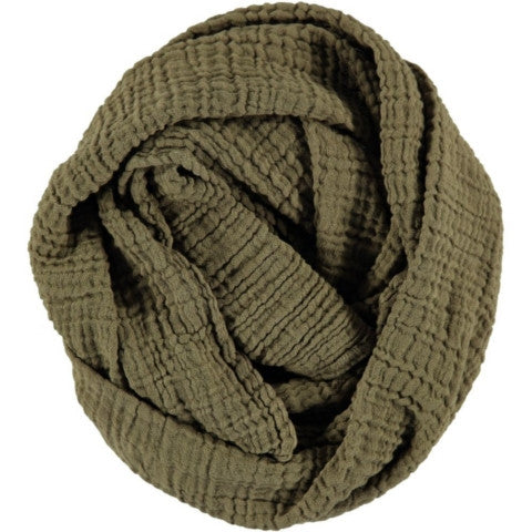 WAYDA Long olive grove