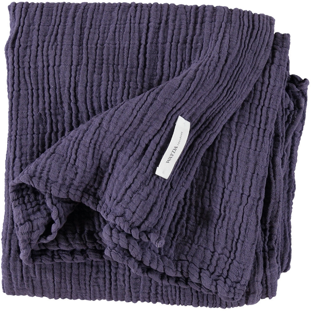 WAYDA BIG African Violet